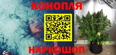 сатива Краснокаменск