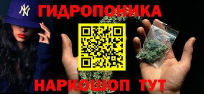 шишки Краснознаменск