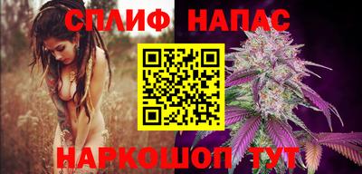шишки Краснознаменск
