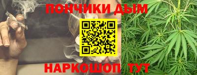 шишки Краснознаменск