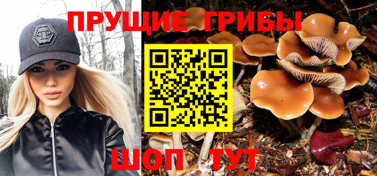 Галлюциногенные грибы Cubensis  Вход с VPN  Кириши  Псилоцибиновые грибы Cubensis 